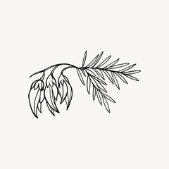 Obraz premium Minimalist botanical line art