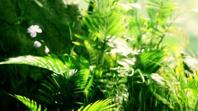 In a garden, various green plants and small white flowers grow together. Sunlight shines down, highlighting their leaves. The scene shows the richness of nature.