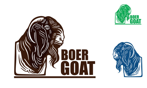 big boer goat head logo, silhouette of great sheep face vector illustration
