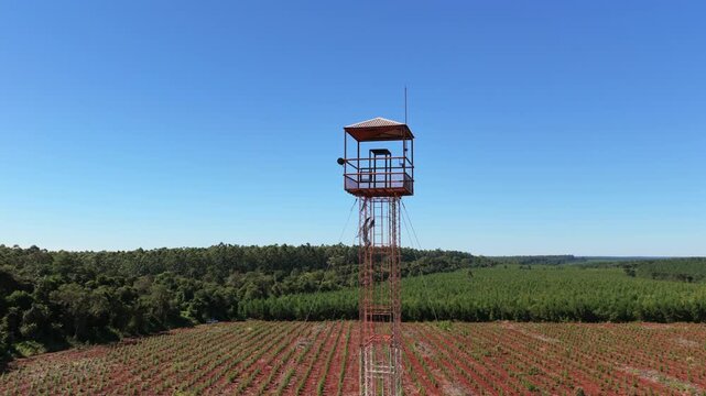 Forest fire watchtower rises above commercial pine plantations bordering Atlantic Forest in Misiones, Argentina, documenting forestry management and plantation landscape, drone orbit.