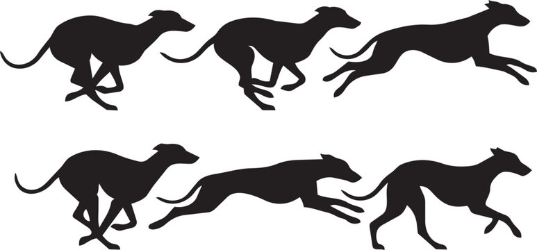 running greyhound dog silhouettes collection racing poses vector illustration