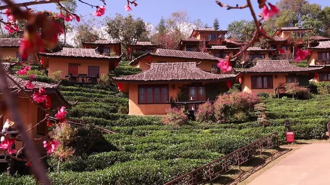 The charming architecture is reminiscent of ancient Chinese villages in Ban Rak Thai, located in the beautiful Mae Hong Son province in northern Thailand.