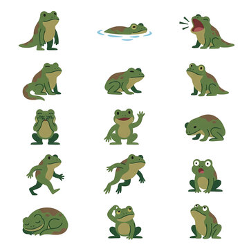A collection of cute green frogs displaying various emotions and movements in diverse poses for educational materials and children books showing amphibians acting like humans with expressions
