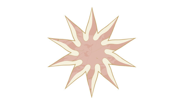 Distressed ten-pointed star symbol with a soft pink textured fill and cream borders on a white background.