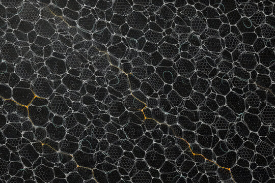 Abstract microscopic cellular structure pattern with glowing golden veins on a dark black background, organic biological network texture