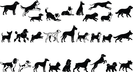 Fototapeta premium Active Dog Breed Silhouette Icon Set with Black Canine Figures for Veterinary Clinics, Pet Stores, and Agility Training Websites