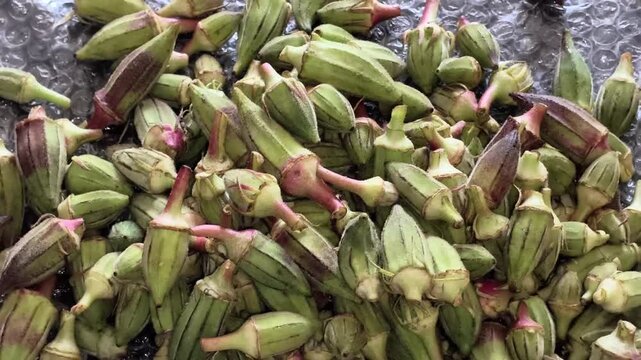 Pile of Fresh Raw Green Okra Pods Resting on Protective Bubble Wrap