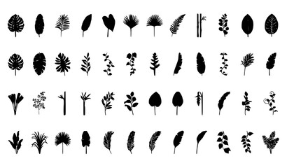 Hand Drawn Tropical Leaves Silhouette Vector Set with Exotic Branches Botanical Foliage Collection © Milon
