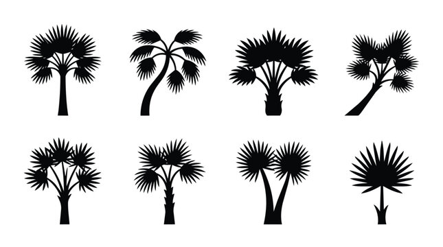 Palm tree silhouette, tropical plant and exotic nature set for summer vacation, beach travel and island logo. Botanical elements, palmetto and coconut leaf with trunk, foliage and flora growth