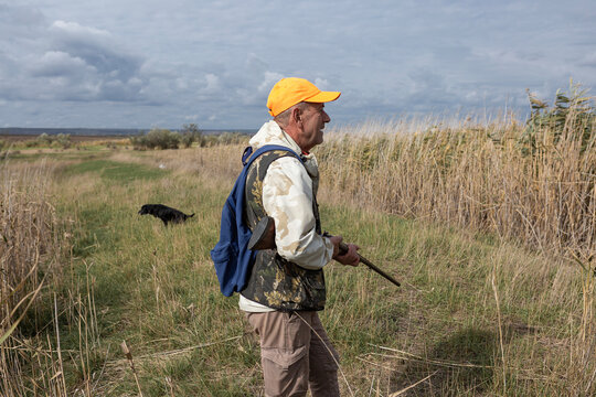 A hunter with a gun in camouflage clothing. A senior man with a gun, medium shot, searching for game.