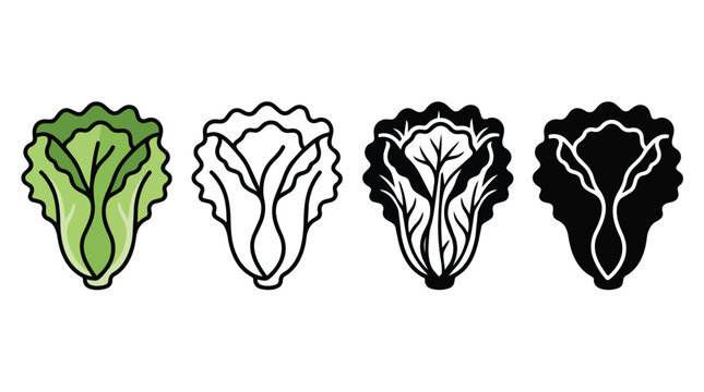 Cabbage icon set, Chinese lettuce and vegetable for salad, cooking or healthy diet. Leafy greens, organic food and market grocery with flat design, line art and silhouette for menu and restaurant