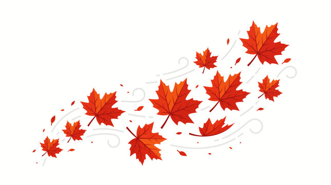 Red autumn maple leaves blowing in the wind with swirling breeze lines on a plain white background vector illustration