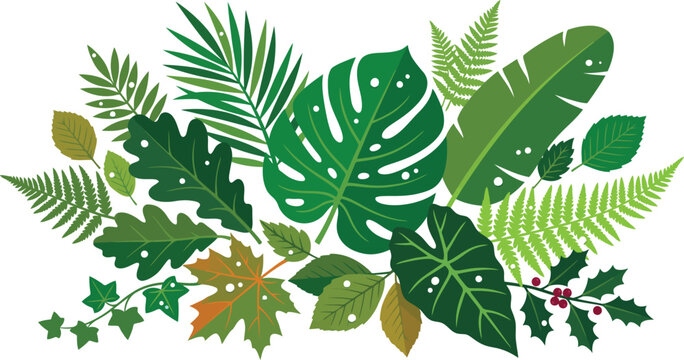 Detailed botanical leaves collection vector illustration with dew drops nature inspired foliage design