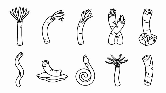 Hand drawn collection of various tube worms and marine organisms in sketch style.