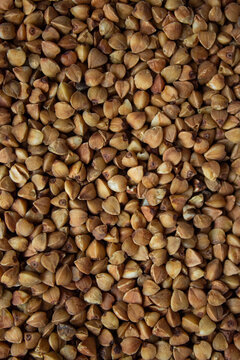Raw roasted buckwheat groats texture background full frame top view food photography.