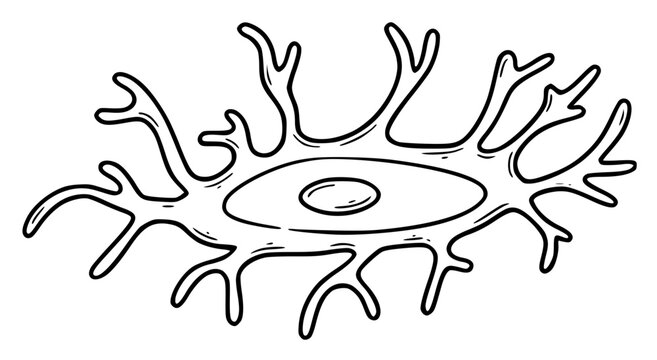 Osteocyte Bone Cell Hand Drawn Scientific Illustration