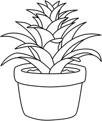 Potted Bromeliad Plant in Flower Pot Botanical Line Art