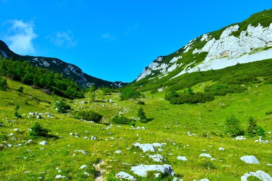 Green meadow at Koren pasture to Kompotela in Gorenjska, Slovenia