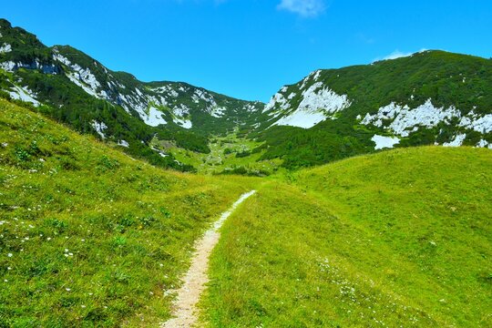 Hiking trail to Kompotela at a green meadow at Koren mountain pasture in Gorenjska, Slovenia