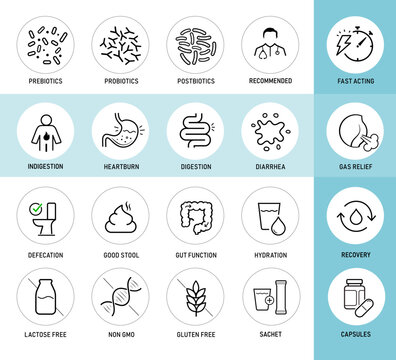 Gut health and digestion icon set. The outline vector icons are well scalable and editable for packaging label design. Great for infographic for different backgrounds. EPS10.