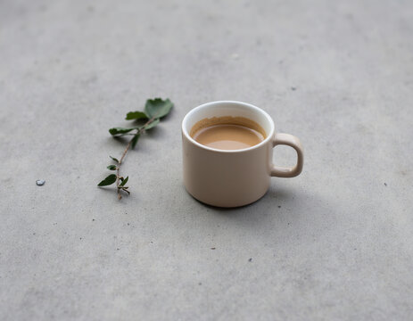 Minimalist Beige Coffee Cup with Milk Tea and Small Green Leaf Branch on Concrete Surface
