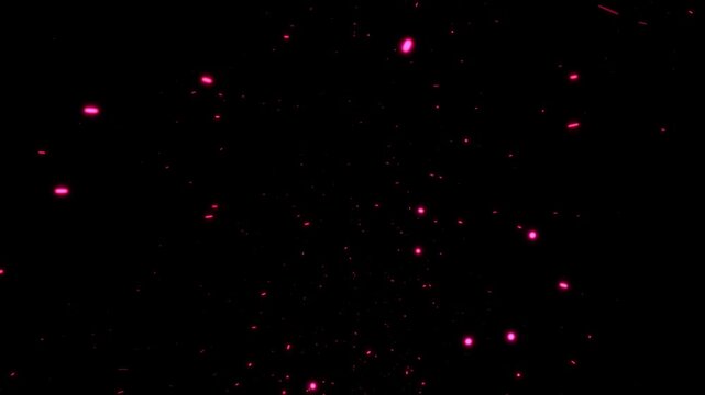 Loop abstract pink red bokeh particles flow motion on black background for screen project overlay. 4K 3D animation of fiery red orange glowing flying bokeh burning ash particles.