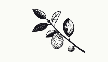 Illustration of a branch with leaves and nuts. © abang