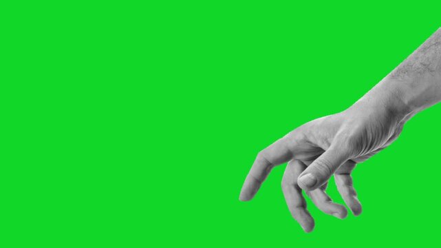 Man Hand Gesture Vector Animation Green Screen | Cartoon Hand Motion Graphics 4K