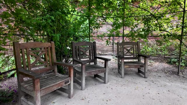 Three empty wooden chairs sitting in a quiet and relaxing green garden waiting for someone