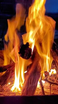 bonfire in the desert. Karakum, Turkmenistan	