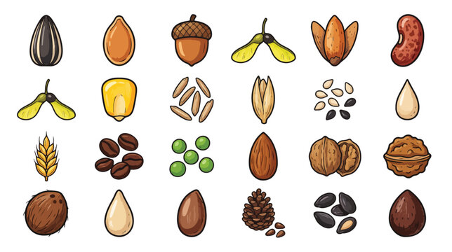 Seed and nut types icon set for botany education