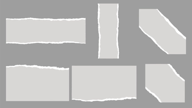 Set of white torn paper sheet. notebook tear or blank page split vector illustration. Abstract realistic white torn paper sheet. Realistic Torn paper edges vector illustration collection.  