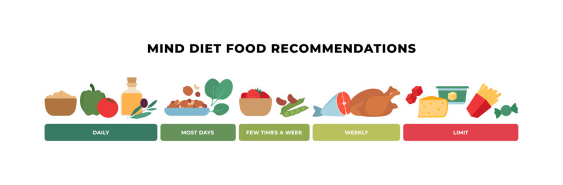 MIND diet food recommendations infographic. Flat vector illustration of brain health nutrition timeline. Daily, weekly and limit food groups isolated on white.    