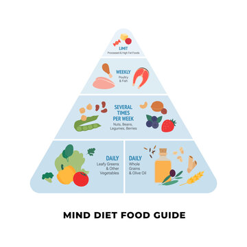 MIND diet food guide pyramid infographic. Flat vector illustration of brain health nutrition hierarchy with daily vegetables, grains, weekly fish and limited processed food isolated on white.