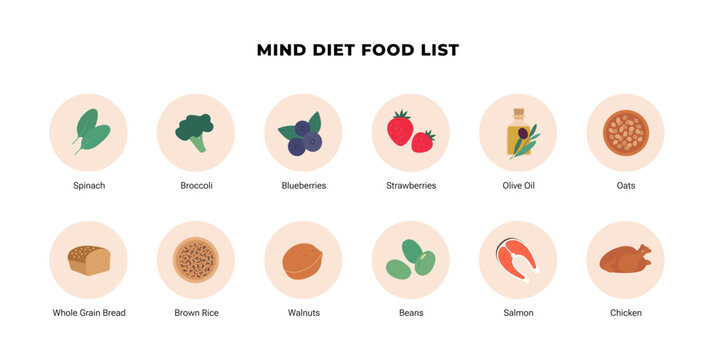 MIND diet food list infographic. Flat vector illustration of brain health nutrition. Spinach, berries, nuts, fish and olive oil icons isolated on white. Alzheimer prevention concept.