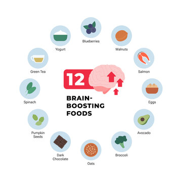 Brain boosting foods infographic. Flat vector illustration of healthy nutrition for memory and cognitive focus. 12 products circle icon set with brain isolated on white background.