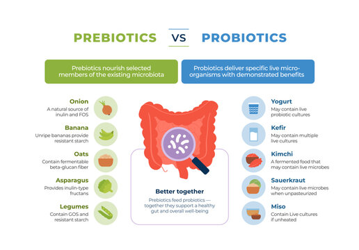 Prebiotics vs probiotics comparison cards infographic. Flat vector illustration of gut health, fiber foods and fermented products isolated on white.