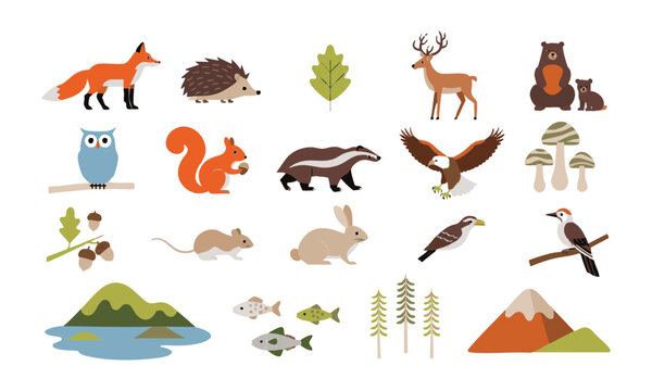 Woodland Animal Nature Collection.