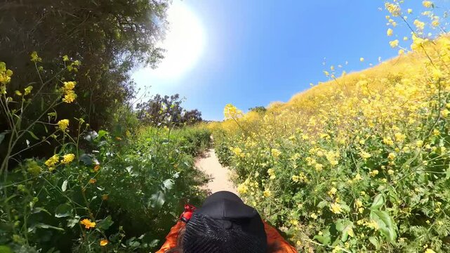 Spring Wild Flowers Cycling POV 02 California USA