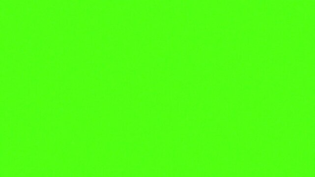Vibrant Lime Green Texture: A plain, solid background of a bright, saturated lime green hue. This versatile color offers a clean and modern aesthetic.