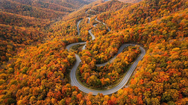 Winding mountain road in autumn forest. Aerial view of a curvy highway through fall foliage.