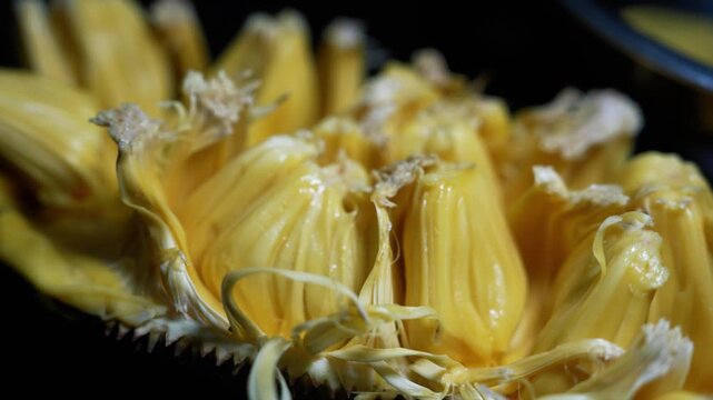 Fresh yellow jackfruit bulbs with soft texture and natural shine, showing ripe tropical fruit pieces ready to eat