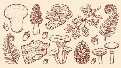 Vintage forest illustration with mushrooms acorns pinecones fern bark and berry branch drawn in sepia on beige background highlighting diverse woodland elements © Abdul Waheed Studio