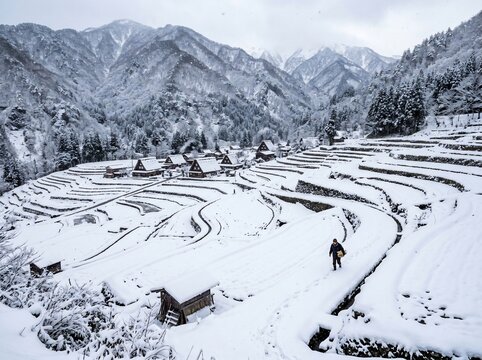 Person walking through snowy rice terraces in Shirakawa go Japan