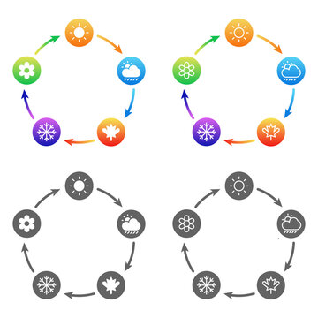Seasonal cycle infographic with summer, rain, autumn, winter and spring icons. Colorful circular vector arrows illustration
