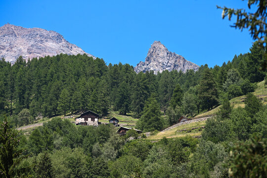 montagna masi chalet pejo val di sole trentino dente del vioz 