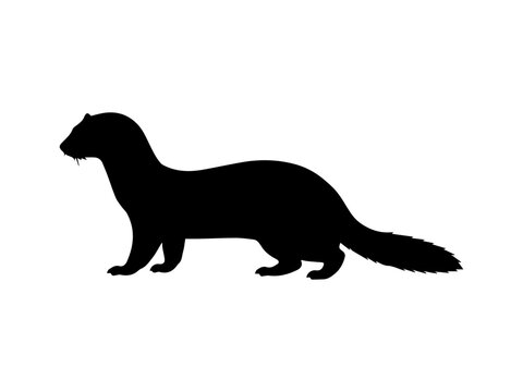 Walking Marten Silhouette Vector Illustration