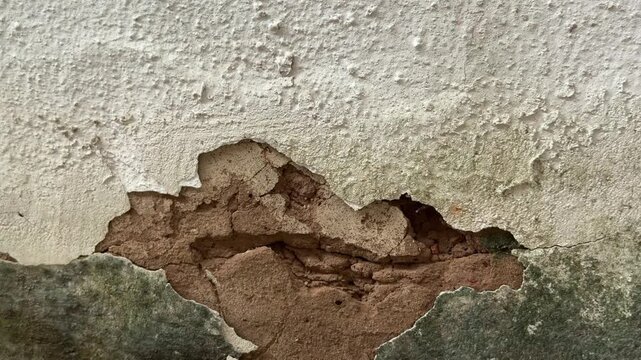 Moldy crumbling wall texture background