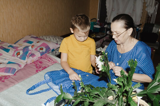 gentle grandmother blue top patiently shows her young grandson how sew piece fabric focused collaboration capturing warmth family learning passing traditions quiet joy creating something together