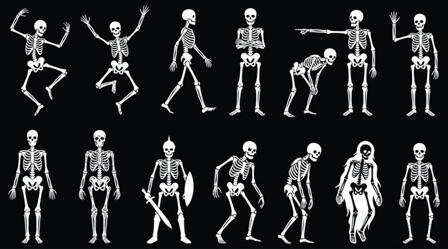 A comprehensive halloween vector bundle featuring various hand drawn skeleton characters in different poses isolated on a plain black background design